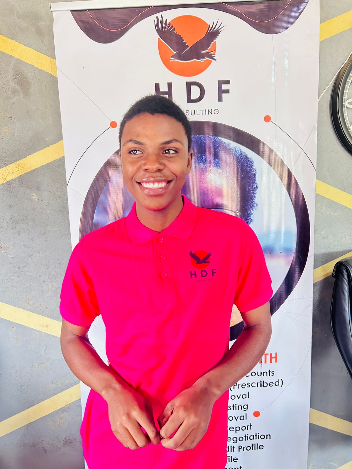 HDF Consulting Professional